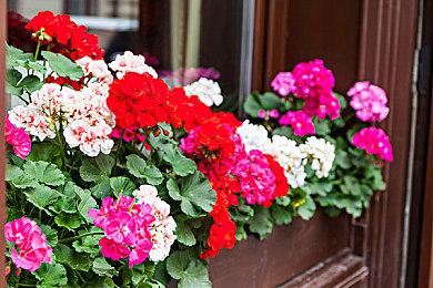 万代南梦宫公布《铁拳8》新角色：“熊猫”